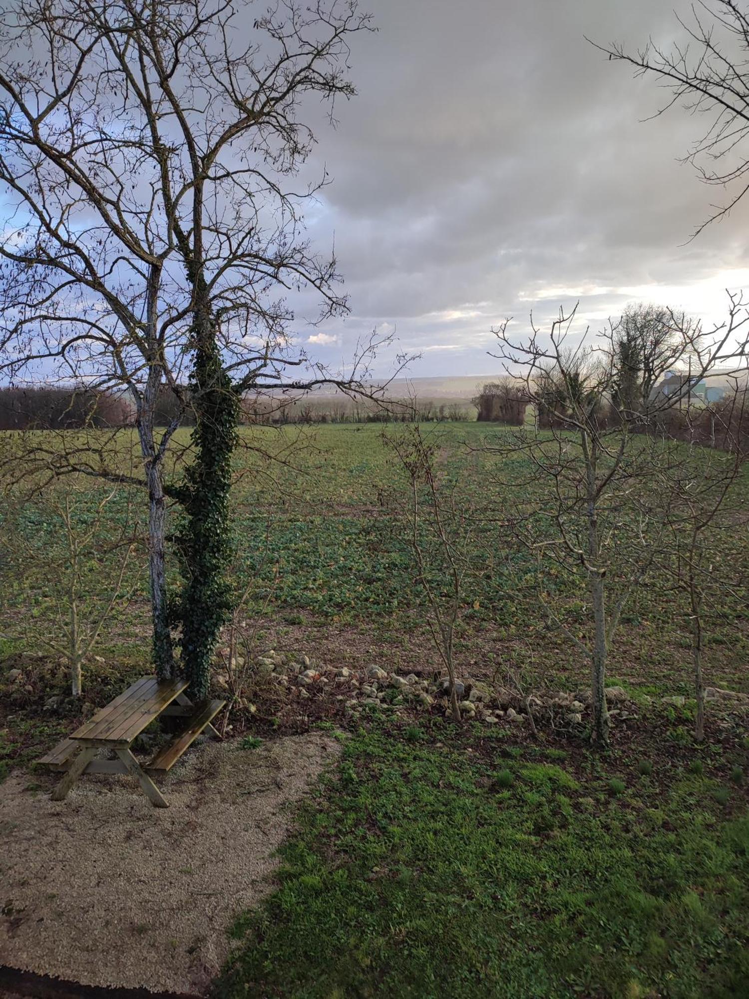 Gite De Montrancon Landes  Esterno foto